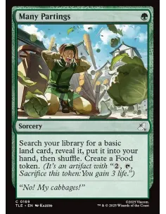 Many Partings - Foil