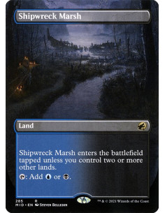 Shipwreck Marsh - Foil