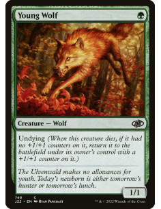Young Wolf