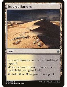 Scoured Barrens
