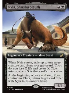 Nyla, Shirshu Sleuth