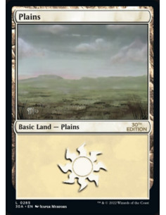 Plains