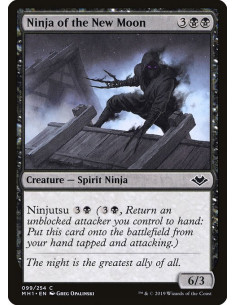 Ninja of the New Moon