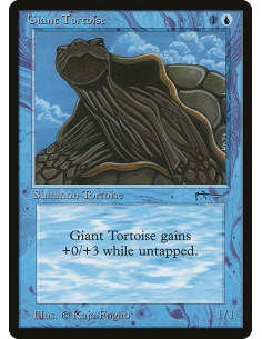 Giant Tortoise
