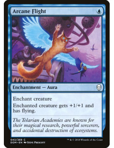 Arcane Flight - Foil