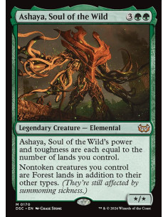 Ashaya, Soul of the Wild