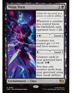 Ninja Teen