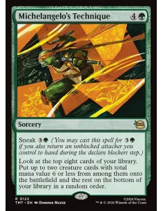 Michelangelo's Technique - Foil