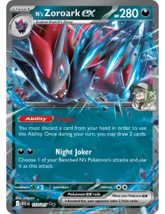 N's Zoroark ex