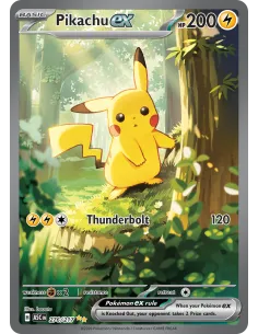 Pikachu ex
