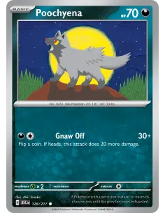 Poochyena - Reverse Holo