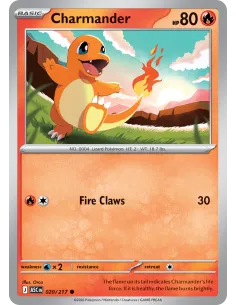 Charmander - Reverse Holo