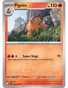 Pignite - Reverse Holo