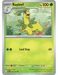 Bayleef - Reverse Holo
