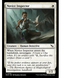 Novice Inspector