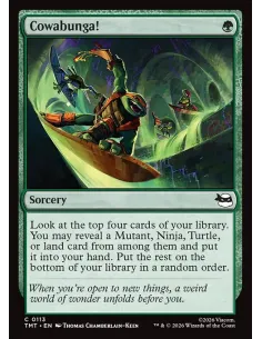 Cowabunga!
