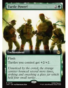 Turtle Power!