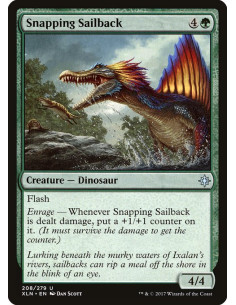 Snapping Sailback - Foil