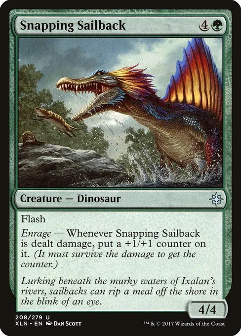 Snapping Sailback - Foil
