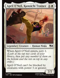 April O'Neil, Kunoichi Trainee