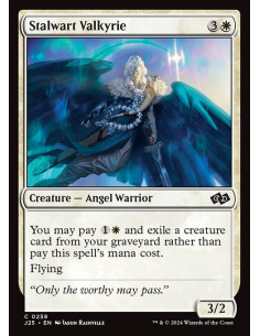 Stalwart Valkyrie