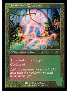 Sheltered Thicket