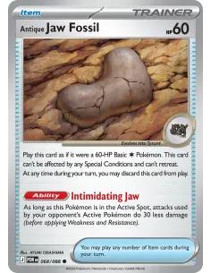 Antique Jaw Fossil