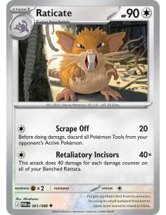 Raticate - Reverse Holo