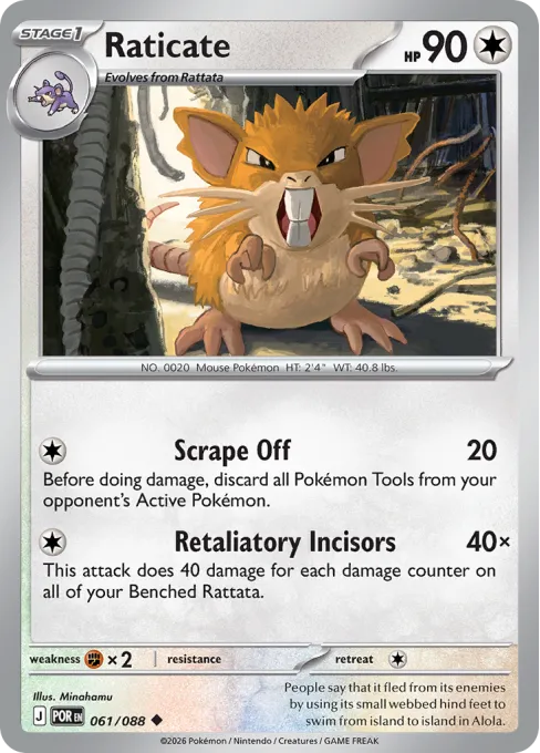 Raticate - Reverse Holo