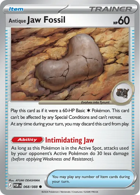 Antique Jaw Fossil - Reverse Holo