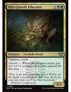 Old-Growth Educator - Foil