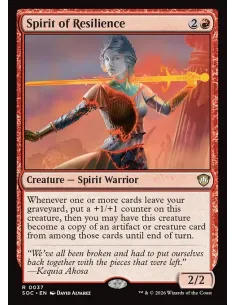 Spirit of Resilience