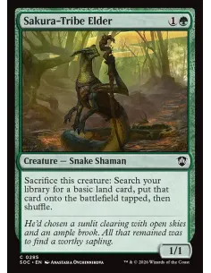 Sakura-Tribe Elder