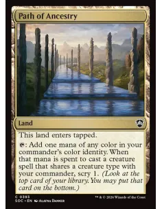 Path of Ancestry