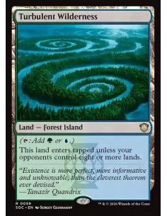 Turbulent Wilderness