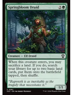 Springbloom Druid