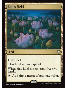 Lotus Field