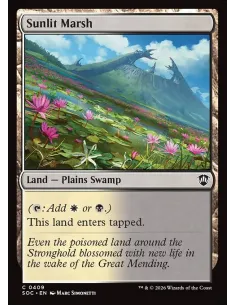 Sunlit Marsh