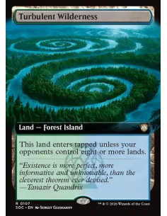 Turbulent Wilderness