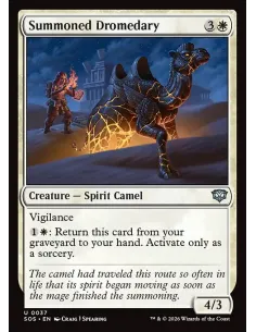 Summoned Dromedary
