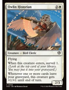 Owlin Historian - Foil