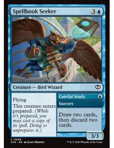 Spellbook Seeker // Careful Study