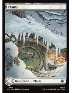Plains