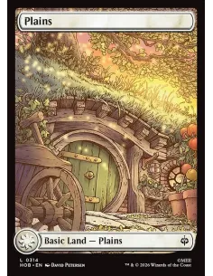Plains