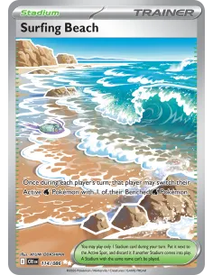 Surfing Beach