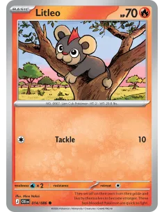 Litleo