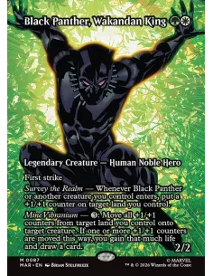 Black Panther, Wakandan King