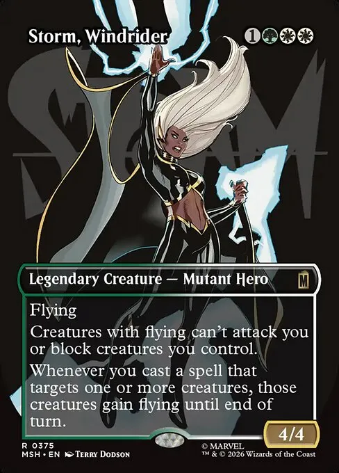 Storm, Windrider - Foil