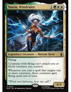 Storm, Windrider