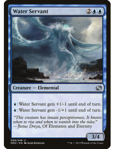 Water Servant - Foil